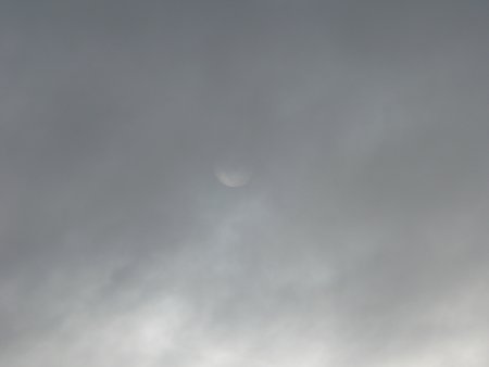 img144.jpeg.medium.jpeg
