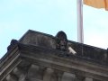 img033.jpeg.small.jpeg