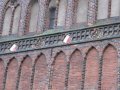 img330.jpeg.small.jpeg