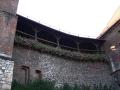 img109.jpeg.small.jpeg