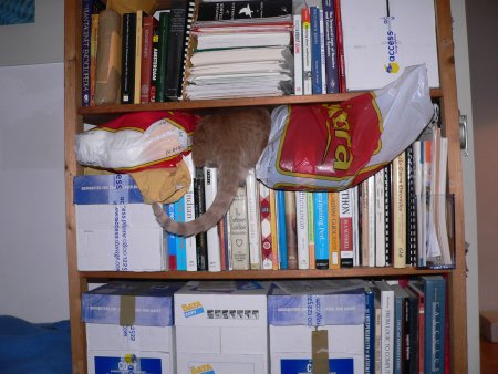 img009.jpeg.medium.jpeg