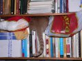 img010.jpeg.small.jpeg