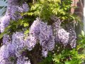 img036.jpeg.small.jpeg