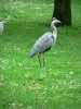 img091.jpeg.small.jpeg