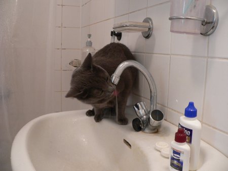 img124.jpeg.medium.jpeg