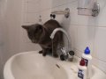 img125.jpeg.small.jpeg