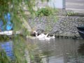 img127.jpeg.small.jpeg