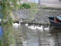 img128.jpeg.small.jpeg