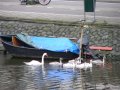 img130.jpeg.small.jpeg