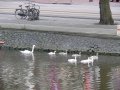 img131.jpeg.small.jpeg