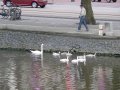 img132.jpeg.small.jpeg