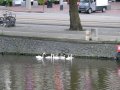 img133.jpeg.small.jpeg