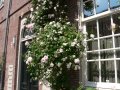 img141.jpeg.small.jpeg