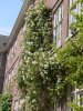 img143.jpeg.small.jpeg