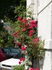 img148.jpeg.small.jpeg